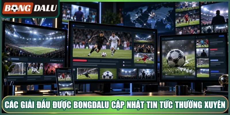 Các giải đấu được bongdalu cập nhật tin tức thường xuyên